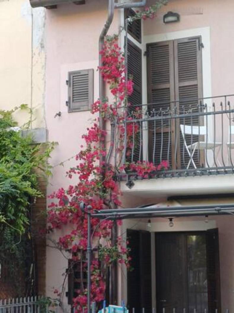 Bouganville House Senigallia Eksteriør bilde